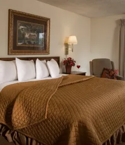 The Foothills Inn - Chambre