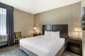Best Western Plus Philadelphia-Pennsauken Hotel - Rum