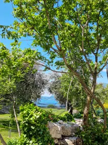 Elle Ecoholiday - Udendørsområde