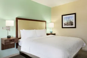 Hampton Inn & Suites Tarpon Springs - Chambre