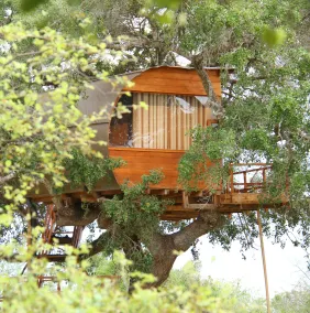 Leopard Nest in Yala - Værelse