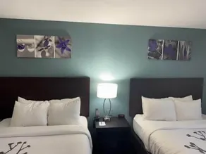 Sleep Inn Marion - Cedar Rapids - Chambre