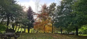 Biggin Hall Country House Hotel - Vue de la chambre