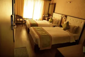 Ethnotel, Kolkata Airport - Room