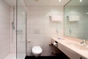 Erikson Hotel - Salle de bain