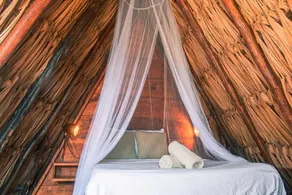 Mapache Hostel - Habitación