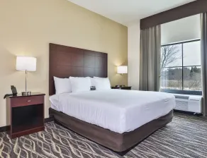 Cobblestone Hotel & Suites Waukesha West Milwaukee - Chambre