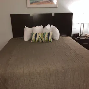 Ocean Plaza Motel - Zimmer
