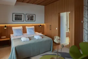 Vytautas Mineral SPA - Room