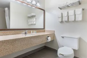 Quality Inn Fairborn near Wright Patterson AFB - Salle de bain