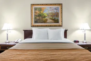 Comfort Inn Plainwell - Værelse