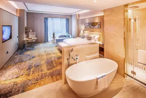 Howard Johnson New District Plaza ZiYang - Chambre