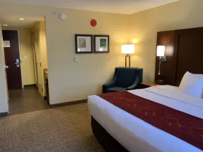 Comfort Suites Fredericksburg North - Chambre