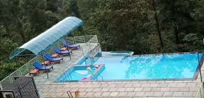 Woodrose Resort - Pool