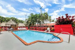 Super 8 by Wyndham Florida City/Homestead/Everglades - Piscine