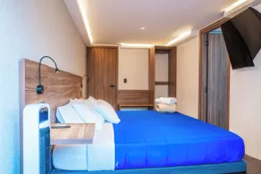 Suite Covadonga Toronja - Room