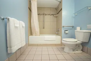 Royal Inn Hudson I-94 - Baño