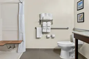 Comfort Inn & Suites Taylor - Detroit - Salle de bain