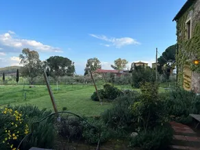 Agriturismo Bio Fattoria di Pietra - Utsikt från rummet