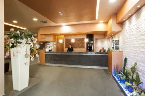 Albergo Athenaeum - Réception