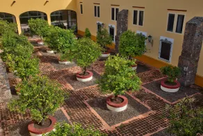Hacienda Jurica by Brisas - Vue de la chambre