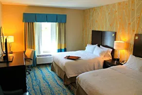 Hampton Inn & Suites Stroudsburg Pocono Mountains - Chambre