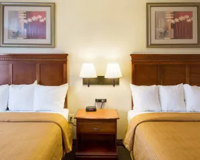 Quality Inn Takoma Park - Habitación