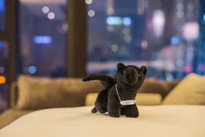 JW Marriott Hotel Chengdu - Room