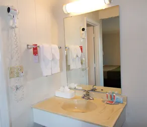 Econo-Lodge of Conway - Salle de bain