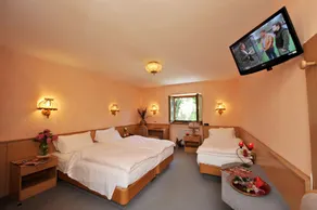 Hotel Etoile De Neige - Chambre