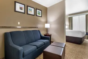 Comfort Suites Plano - Dallas North - Room