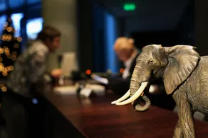 Rixwell Elefant Hotel - Recepción