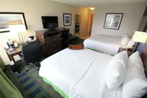 Hampton Inn Sandusky-Central - Chambre