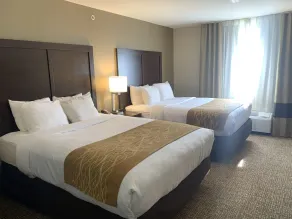 Comfort Inn & Suites Atoka - Værelse