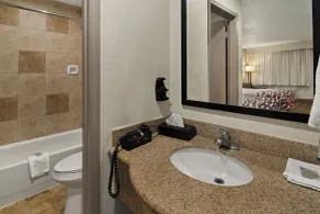 Red Roof Inn & Suites Irving - DFW Airport South - Bathroom