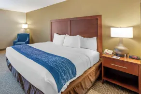 Comfort Inn Elizabeth City near University - Chambre