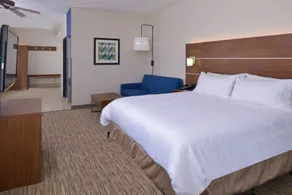 Holiday Inn Express Hotel & Suites Abilene Mall South by IHG - Chambre