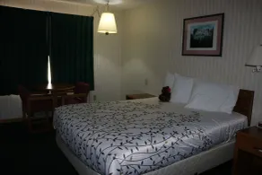 Roosevelt Inn Mount Rushmore - Chambre
