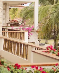 Playa Paraíso - View from room