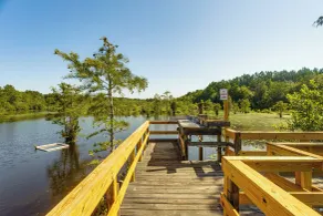Fishing Pond & Screened Deck 'mourning Dove Lodge' - Interiør