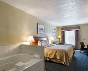 Quality Inn Troutville - Roanoke North - Salle de bain