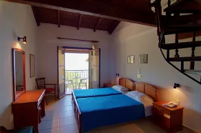Celia Apartments - Room