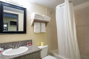 Econo Lodge Inn & Suites Clearwater Central - Badeværelse