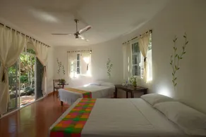 Eco-Hotel Nueva Altia - Chambre