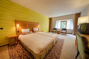 Fletcher Hotel Restaurant Sallandse Heuvelrug - Chambre