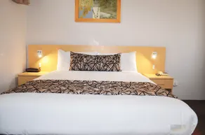 Bathurst Motor Inn - Room
