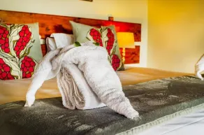 Tshikwalo Game Lodge - Room