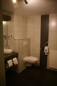 Logis Le Bourguignon - Baño