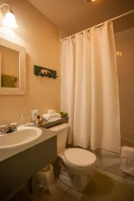 La Chaumiere de l' Anse - Badezimmer