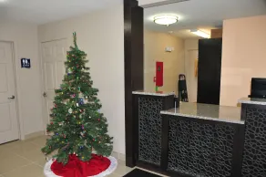 Paradise Inn & Suites - Réception
